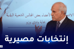 شرفي: الإنتخابات الجزئية مصيرية للمسار الديمقراطي بالجزائر
