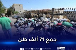 القضاء على 3723 مفرغة عشوائية للنفايات