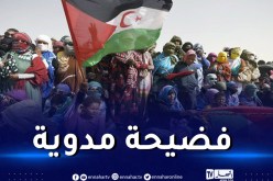 زلزلت وزارة الثقافة المغربية.. أغنية تطالب باستقلال الصحراء الغربية بُثّت في فيلم مغربي