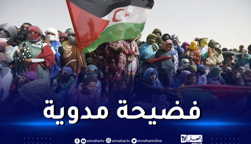 زلزلت وزارة الثقافة المغربية.. أغنية تطالب باستقلال الصحراء الغربية بُثّت في فيلم مغربي