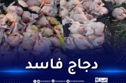 تيارت..حجز اكثر من قنطار دجاج فاسد بمحل للإطعام السريع بالسوقر