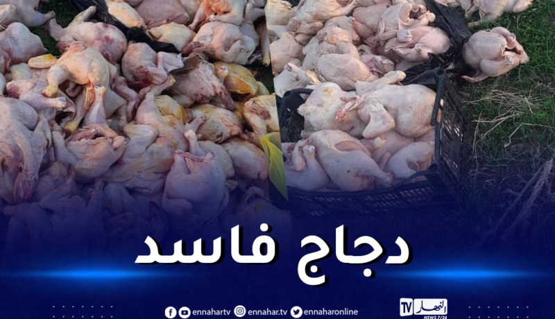 تيارت..حجز اكثر من قنطار دجاج فاسد بمحل للإطعام السريع بالسوقر