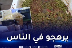 الوادي: حجز 209 قنطار زيتون مخلل غير صالح للإستهلاك