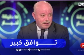 عبداوي: كل نجاحات الجزائر تزعج العديد من الدوائر الخارجية