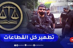 تطهيرا لكل القطاعات.. مواصلة فتح التحقيقات ضد المسؤولين المتورطين