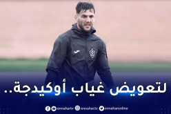 رسميا.. بلماضي يستدعي شعال لتربص الخضر