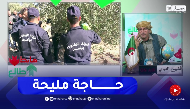 الشيخ النوي: مساجين يجنون الزيتون في باتنة.. تكوين وإستثمار في الفلاحة