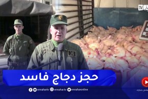 بجاية: شاهد الدرك الوطني يجحز أزيد من 26 قنطارا من اللحوم البيضاء الفاسدة بالقصر