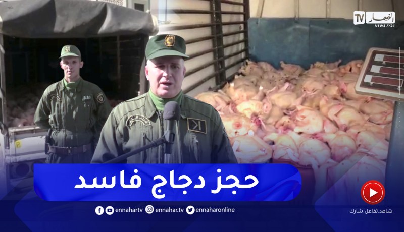بجاية: شاهد الدرك الوطني يجحز أزيد من 26 قنطارا من اللحوم البيضاء الفاسدة بالقصر