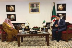 حمادي يبحث سبل التعاون مع رئيس المنظمة العربية للسياحة