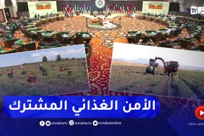 الأمن الغذائي بالمنطقة العربية.. الجزائر في مقدمة الدول القادرة على توفير غذائها