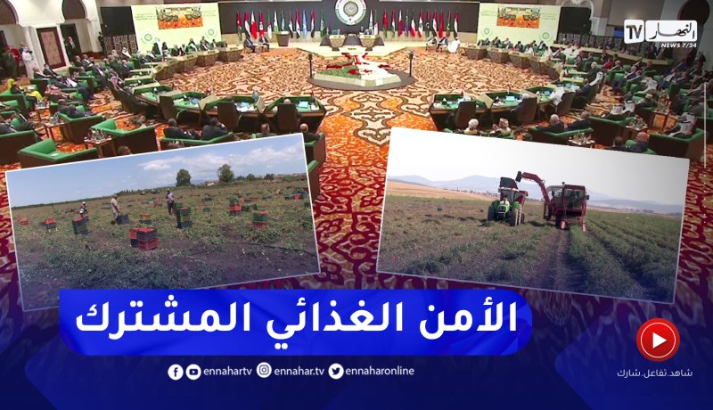 الأمن الغذائي بالمنطقة العربية.. الجزائر في مقدمة الدول القادرة على توفير غذائها