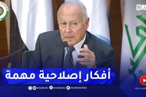 أبو الغيط: أفكار الرئيس تبون صادق عليها القادة العرب وهي تُطور أعمال الجامعة العربية