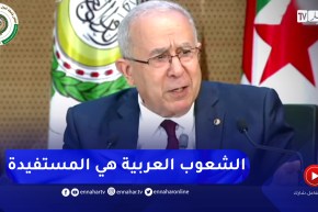 لعمامرة: الأساس هو العمل على تطبيق كل ما أقر للدفع بعجلة الشراكة العربية مع الحرص على توازن المصالح