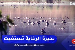 بحيرة الرغاية.. محمية طبيعية مهددة بالزوال بسبب المياه الملوثة و نفايات المصانع