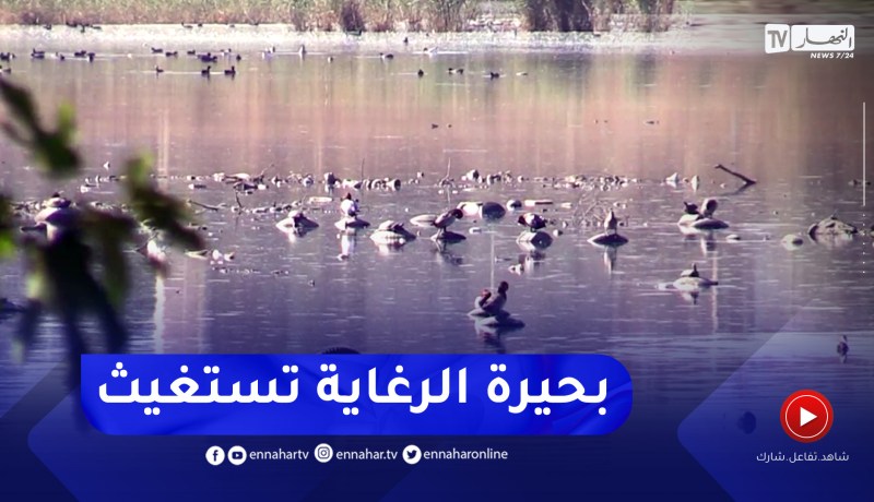 بحيرة الرغاية.. محمية طبيعية مهددة بالزوال بسبب المياه الملوثة و نفايات المصانع