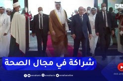 تعزيز الشركات بين الجزائر والدول العربية في مجال الصحة