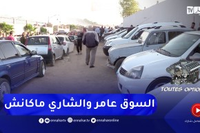 Toutes options: عزوف المواطنين عن إقتناء السيارات المستعملة رغم تراجع الأسعار