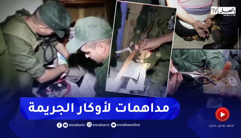 شاهد ما عثر عليه رجال الدرك والأمن في مداهمات لأماكن مشبوهة بوهران!؟
