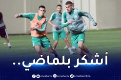 بالفيديو.. عريبي يرد بقوة:”الانتقادات تعني أنني موجود”