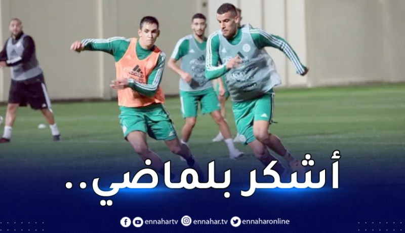 بالفيديو.. عريبي يرد بقوة:”الانتقادات تعني أنني موجود”