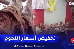 إجراءات عملية لتنظيم شعبة اللحوم الحمراء وتخفيض الاسعار