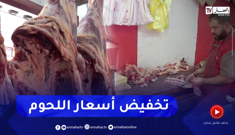 إجراءات عملية لتنظيم شعبة اللحوم الحمراء وتخفيض الاسعار