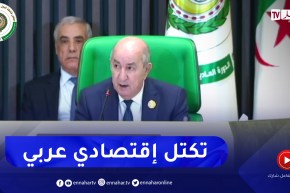 الرئيس تبون: علينا بناء تكتل إقتصادي عربي منيع يحفظ مصالحنا المشتركة مع تحديد الأولويات