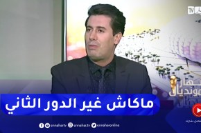 زين عامر: المنتخبات العربية والإفريقية هدفها بلوغ الدور الثاني وفقط