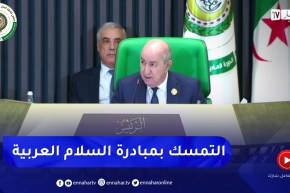 الرئيس تبون: يتعين علينا التحرك في ظل عجز مجلس الأمن والأمم المتحدة والتمسك بمبادرة السلام العربية