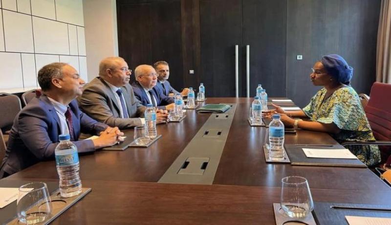 وزير الصناعة يستعرض مع نظيرته النيجرية فرص التعاون الثنائي