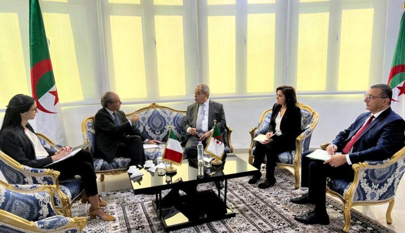 الجزائر وإيطاليا: تشجيع الإستثمارات لإنتاج أدوية علاج الأمراض المزمنة