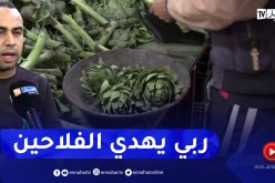 الزوائد في الخضر.. الوجه الآخر للتحايل على المواطنين