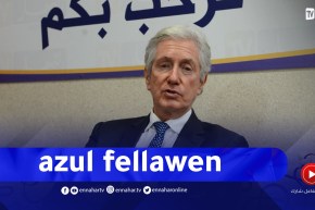 شاهد السفير الفرنسي يتحدث باللغة الامازيغية ويكشف عن الموسيقى القبائلية التي يحبها