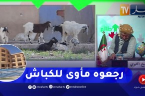 الشيخ النوي: إعادة تهيئة سوق بقصر الشلالة.. من 2019 مزال مكملوهش