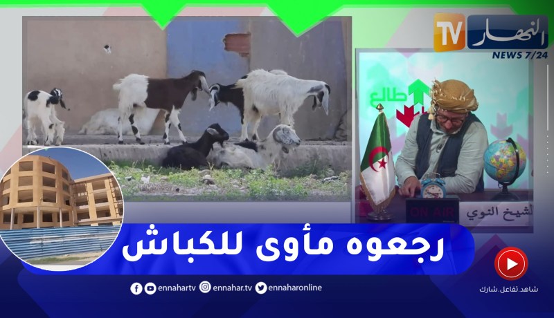 الشيخ النوي: إعادة تهيئة سوق بقصر الشلالة.. من 2019 مزال مكملوهش
