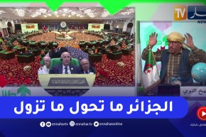 الشيخ النوي: القمة العربية ناجحة بشهادة الأشقاء العرب.. وفلسطين على رأس القمة