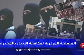 أمن: أكثر من 71 ألف قضية متعلقة بالمخدرات عالجتها المصالح الأمنية خلال 10 أشهر