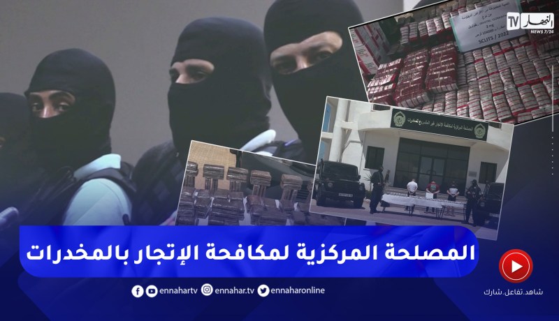 أمن: أكثر من 71 ألف قضية متعلقة بالمخدرات عالجتها المصالح الأمنية خلال 10 أشهر