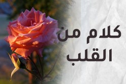 الإسلام والسعادة