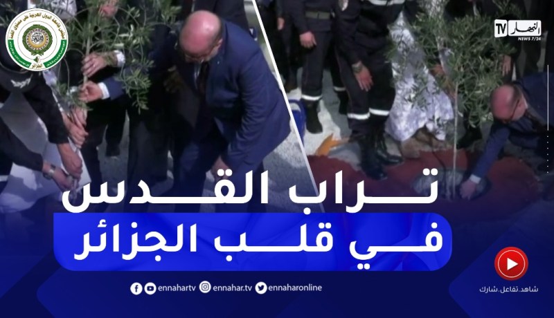 وزير الشؤون الدينية رفقة وفد فلســطيني يقومان بغرس شجرة زيتون بتراب فلســطيني