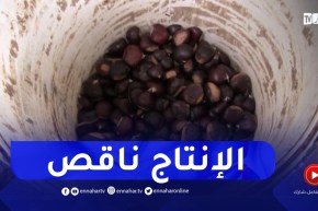 سكيكدة : تراجع كبير في منتوج “الكستناء” القسطل بسبب الجفاف والأمراض
