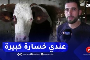 بجاية : الحمى القلاعية تكبد الفلاح محمد خسائر في عدد من رؤوس الأبقار