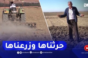 غليزان : فلاحو منطقة بلعسل يرفعون التحدي ويستغلون أراضي مالحة للزراعة
