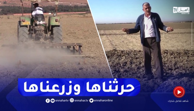 غليزان : فلاحو منطقة بلعسل يرفعون التحدي ويستغلون أراضي مالحة للزراعة