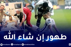 غزال يخضع لعملية جراحية ناجحة