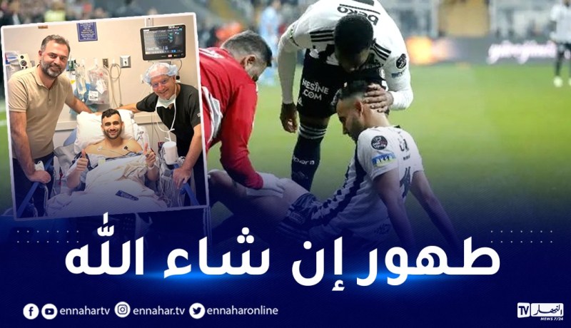 غزال يخضع لعملية جراحية ناجحة