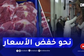 إجراءات عملية لتنظيم شعبة اللحوم الحمراء وتخفيض الأسعار