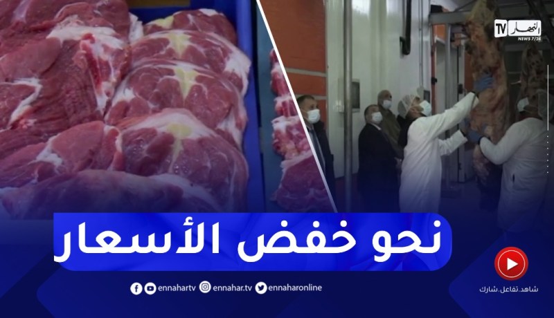 إجراءات عملية لتنظيم شعبة اللحوم الحمراء وتخفيض الأسعار