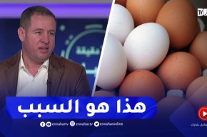 رئيس اللجنة الوطنية لشعبة الدواجن : هذا هو سبب إرتفاع أسعار البيض